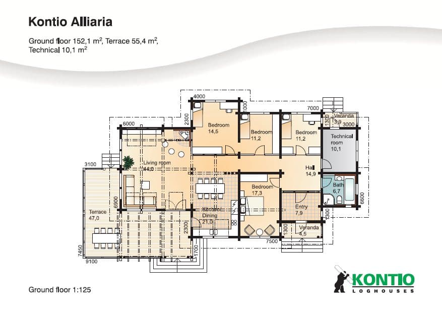 Alliaria – fotka 6