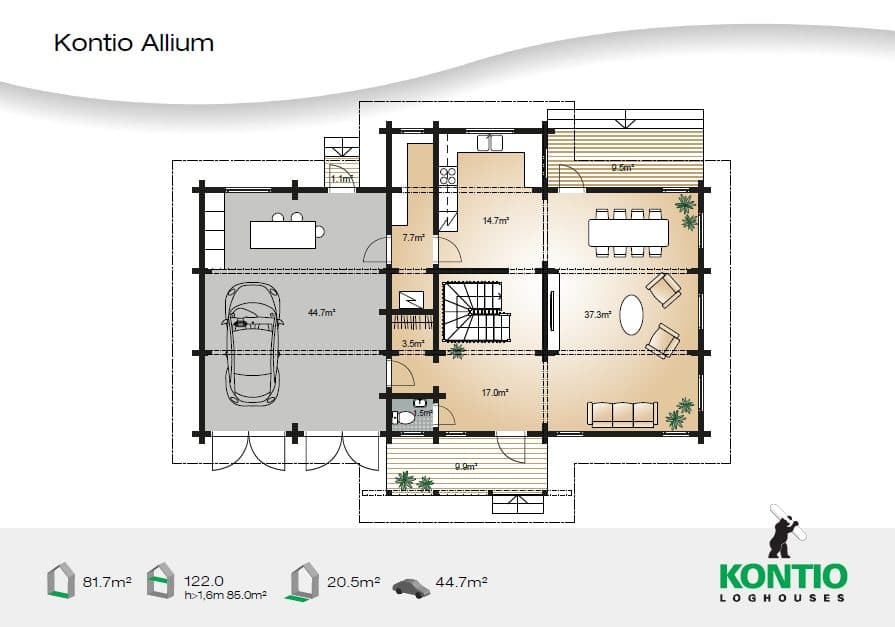Allium – fotka 2