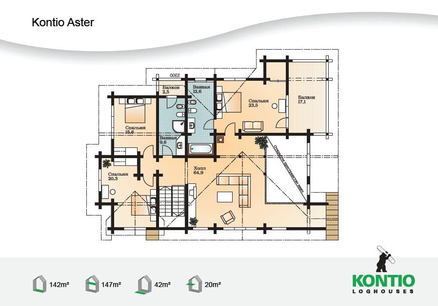 Aster – fotka 8