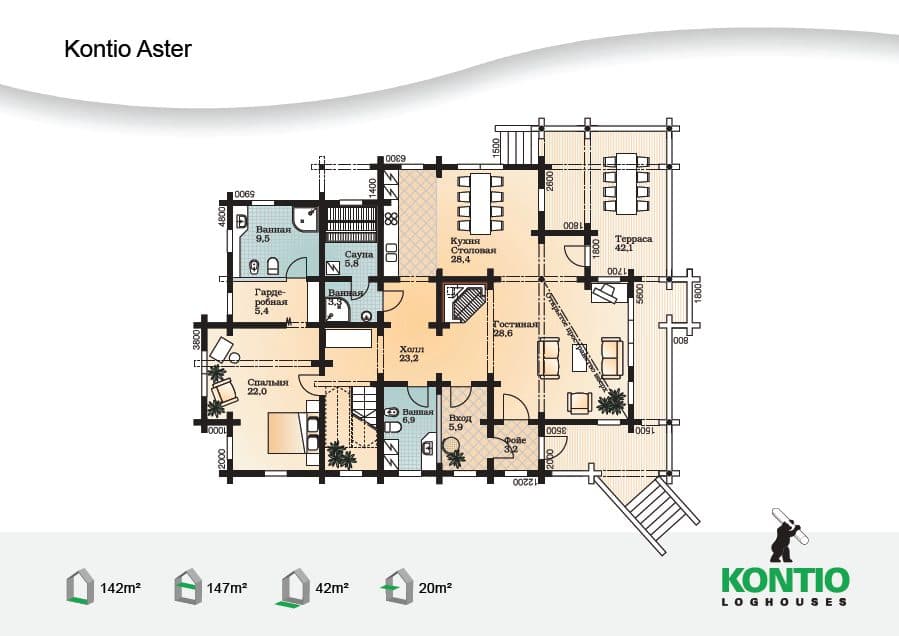 Aster – fotka 9