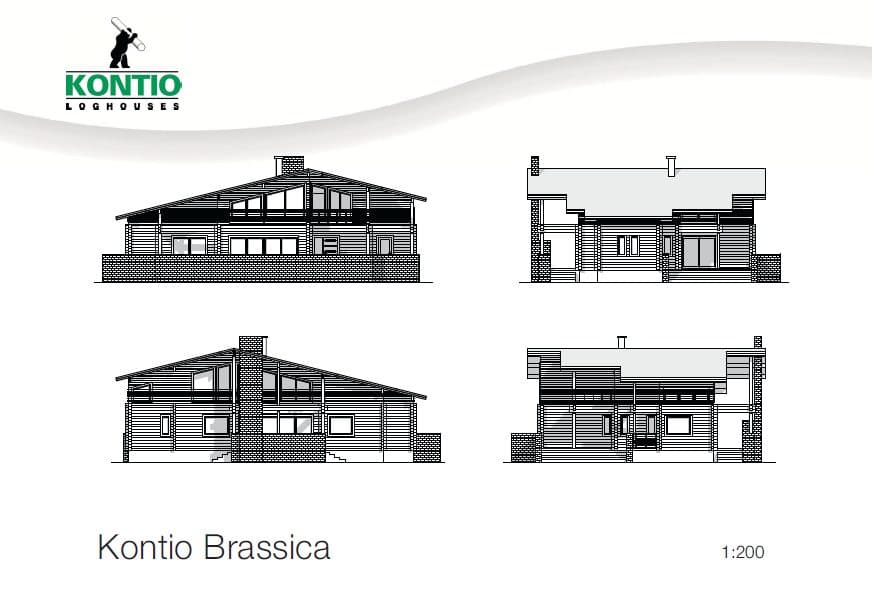 Brassica – photo 3