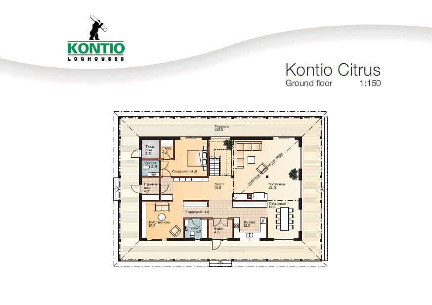 Citrus – fotka 2