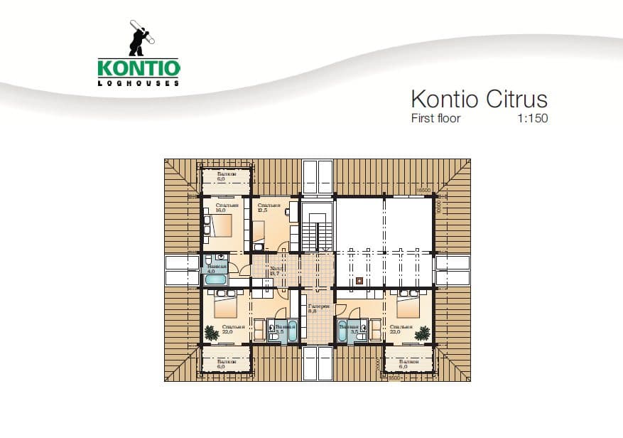 Citrus – fotka 3