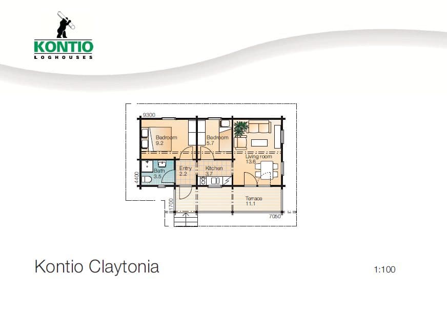 Claytonia – fotka 1