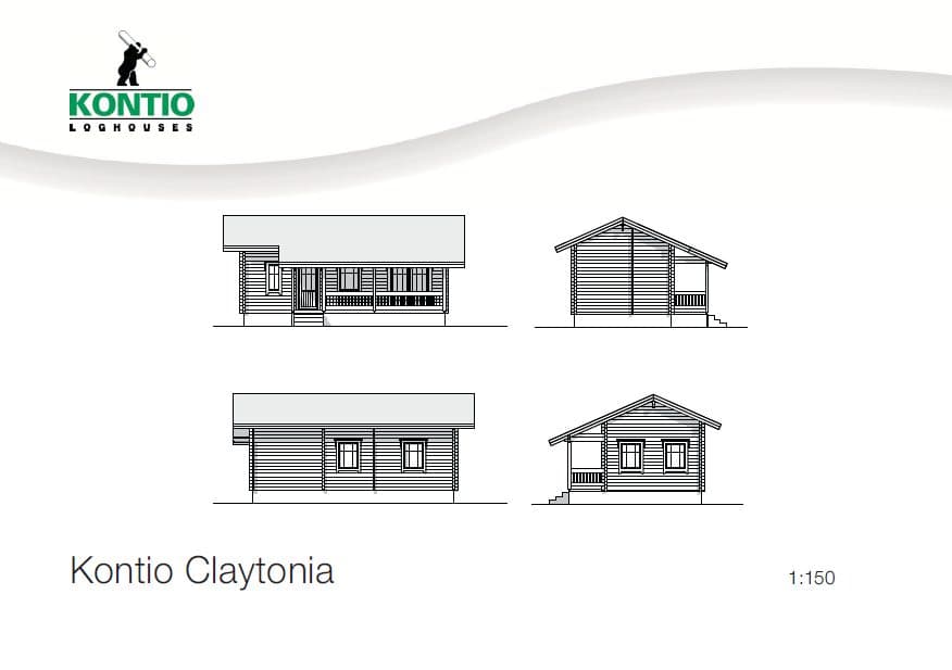 Claytonia – fotka 2