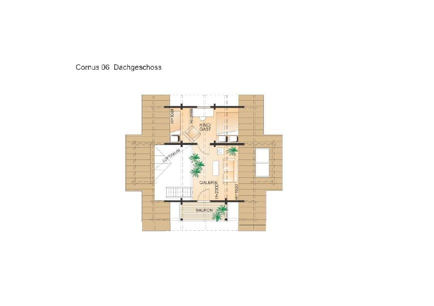Cornus – fotka 1