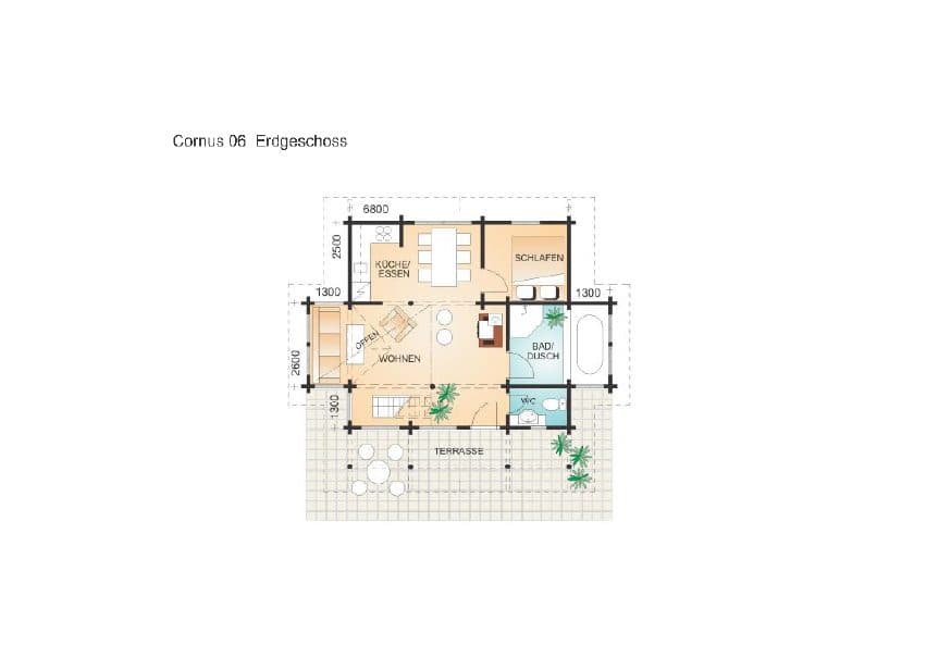 Cornus – fotka 3