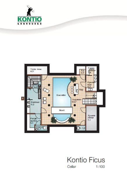 Ficus – fotka 1