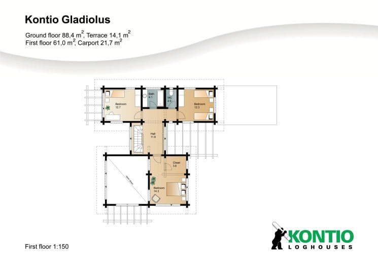 Gladiolus – fotka 1