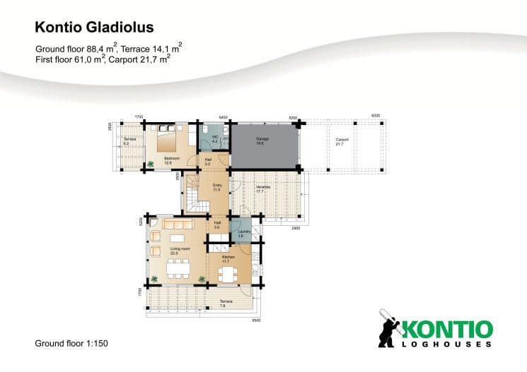 Gladiolus – fotka 3