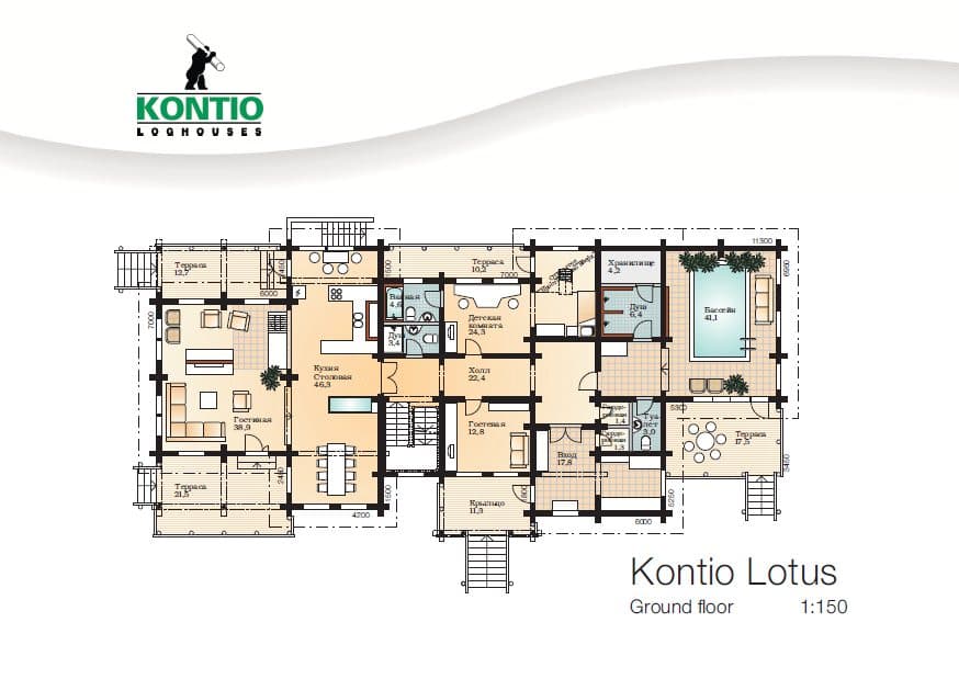 Lotus – fotka 2