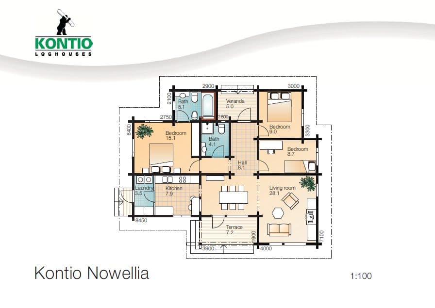 Nowellia – fotka 1