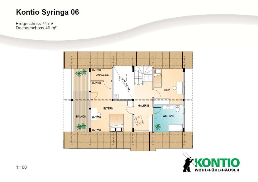 Syringa – fotka 2