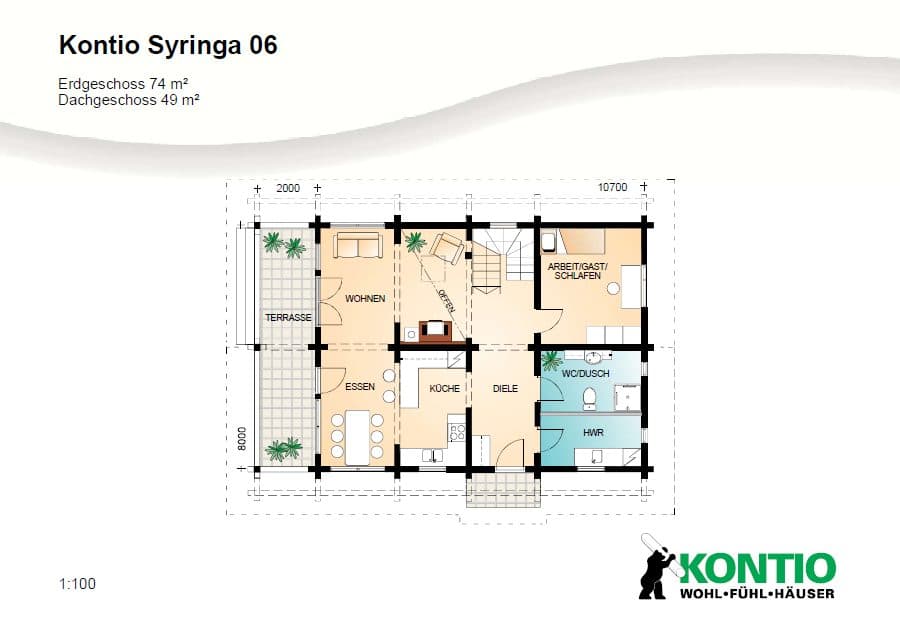 Syringa – fotka 3