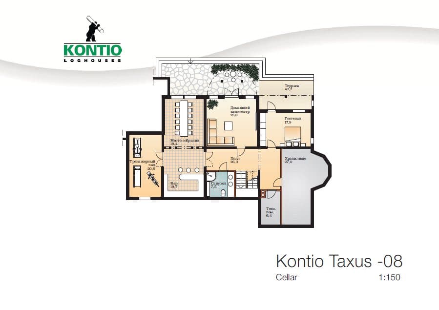 Taxus – fotka 4