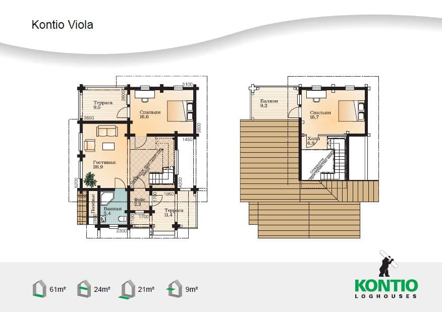 Viola – photo 2
