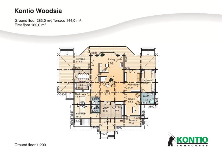 Woodsia – fotka 6